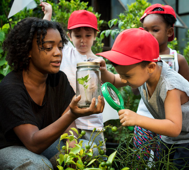 3 Simple Backyard Experiments for Kids During Summer Break