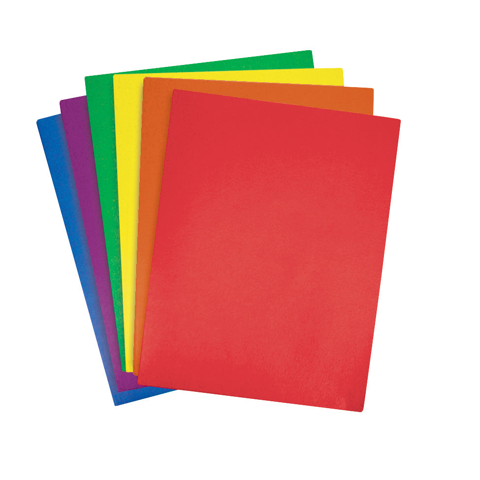 Premium 2-Pocket Classroom Folders - 48 per box – Raymond Geddes