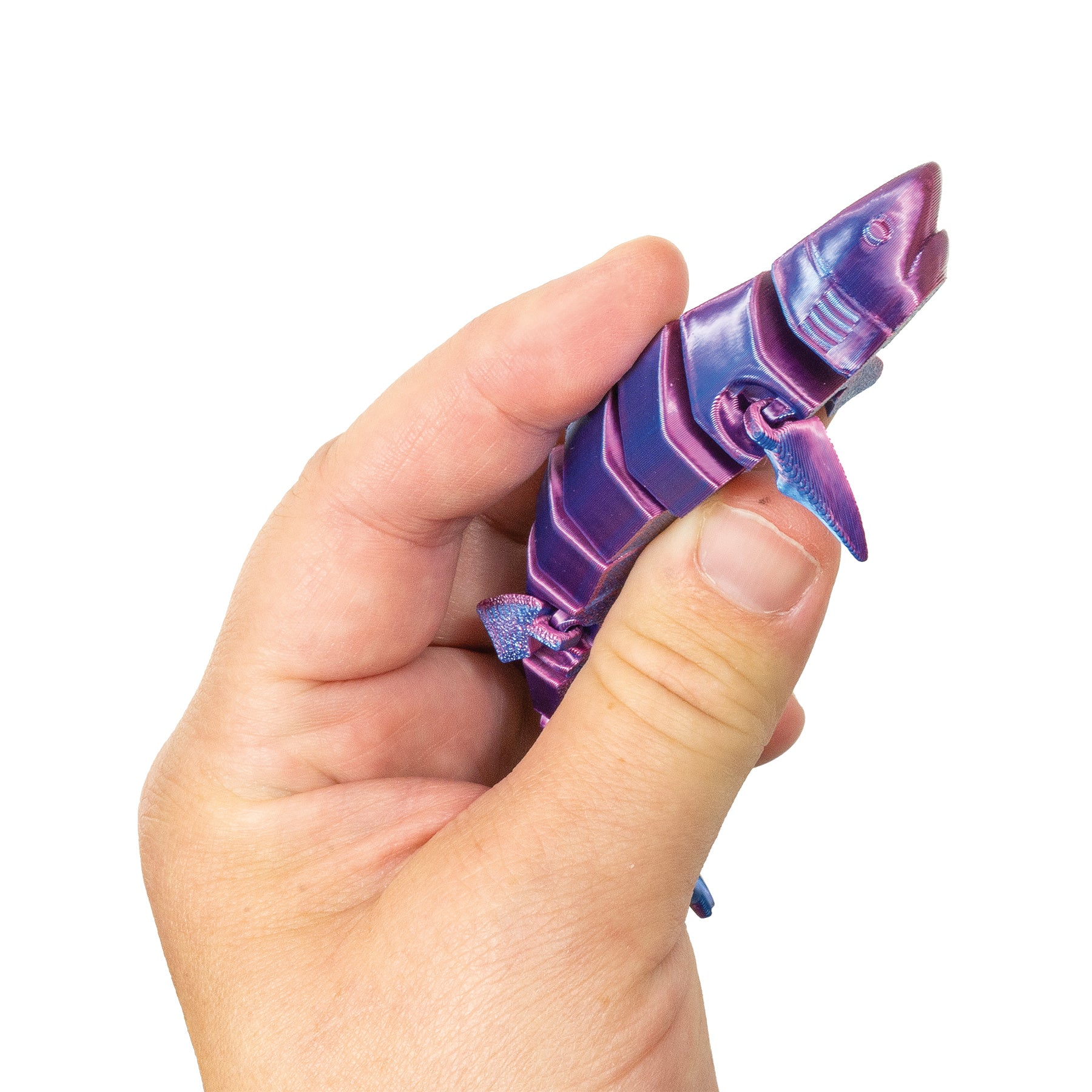 3D Printed Shark Fidget Toys - 12 per box