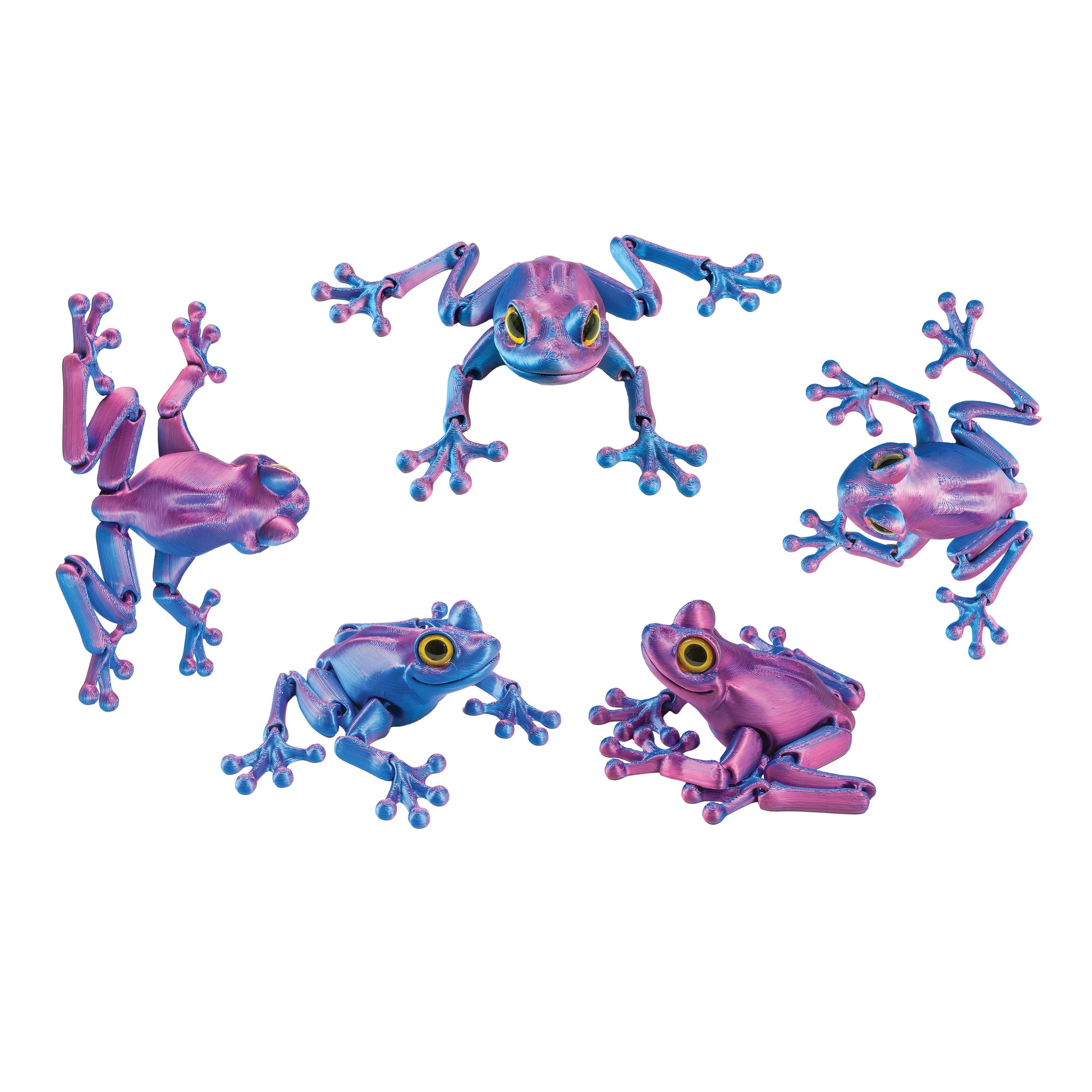 3D Printed Tree Frog Fidget Toys - 12 per box