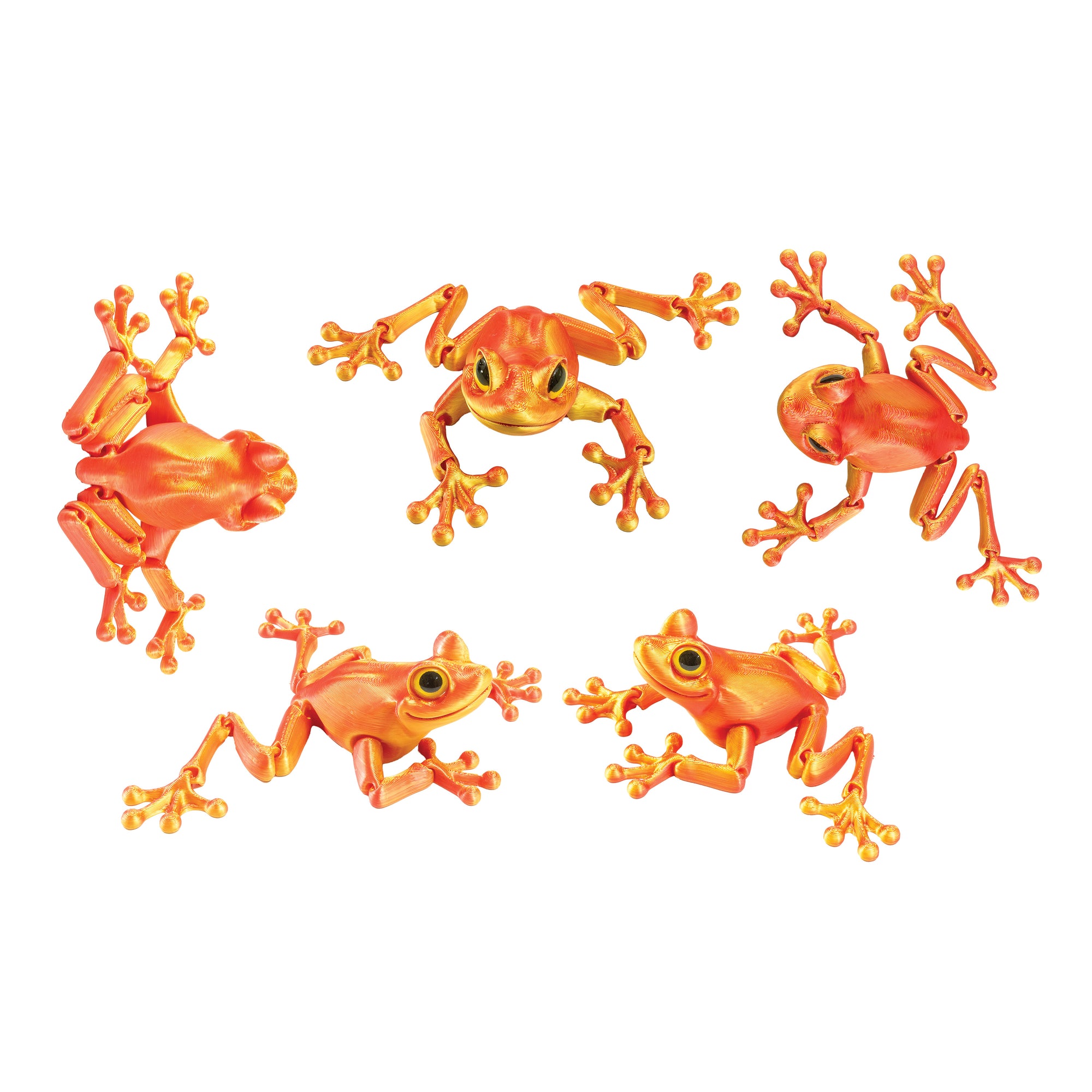 3D Printed Tree Frog Fidget Toys - 12 per box
