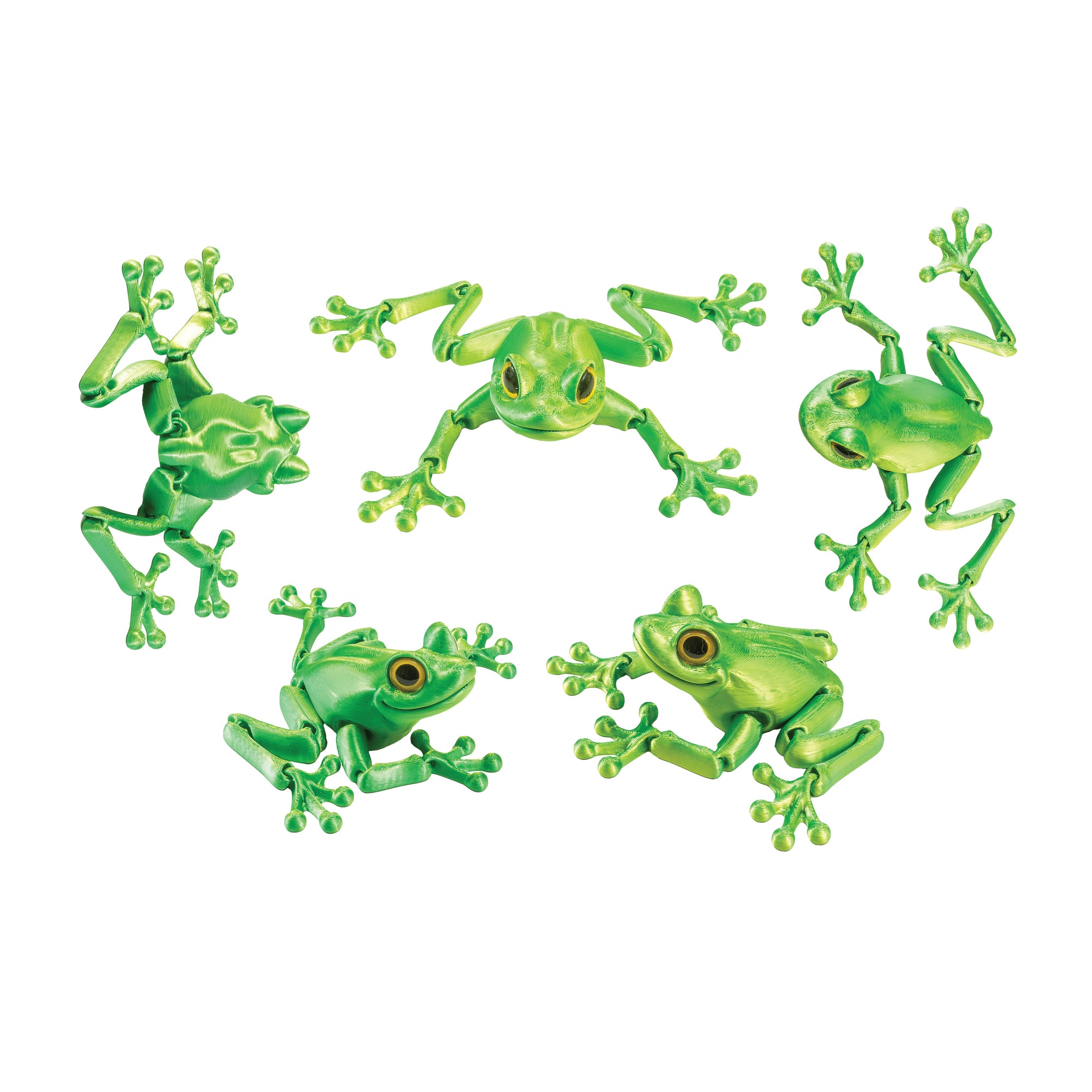 3D Printed Tree Frog Fidget Toys - 12 per box