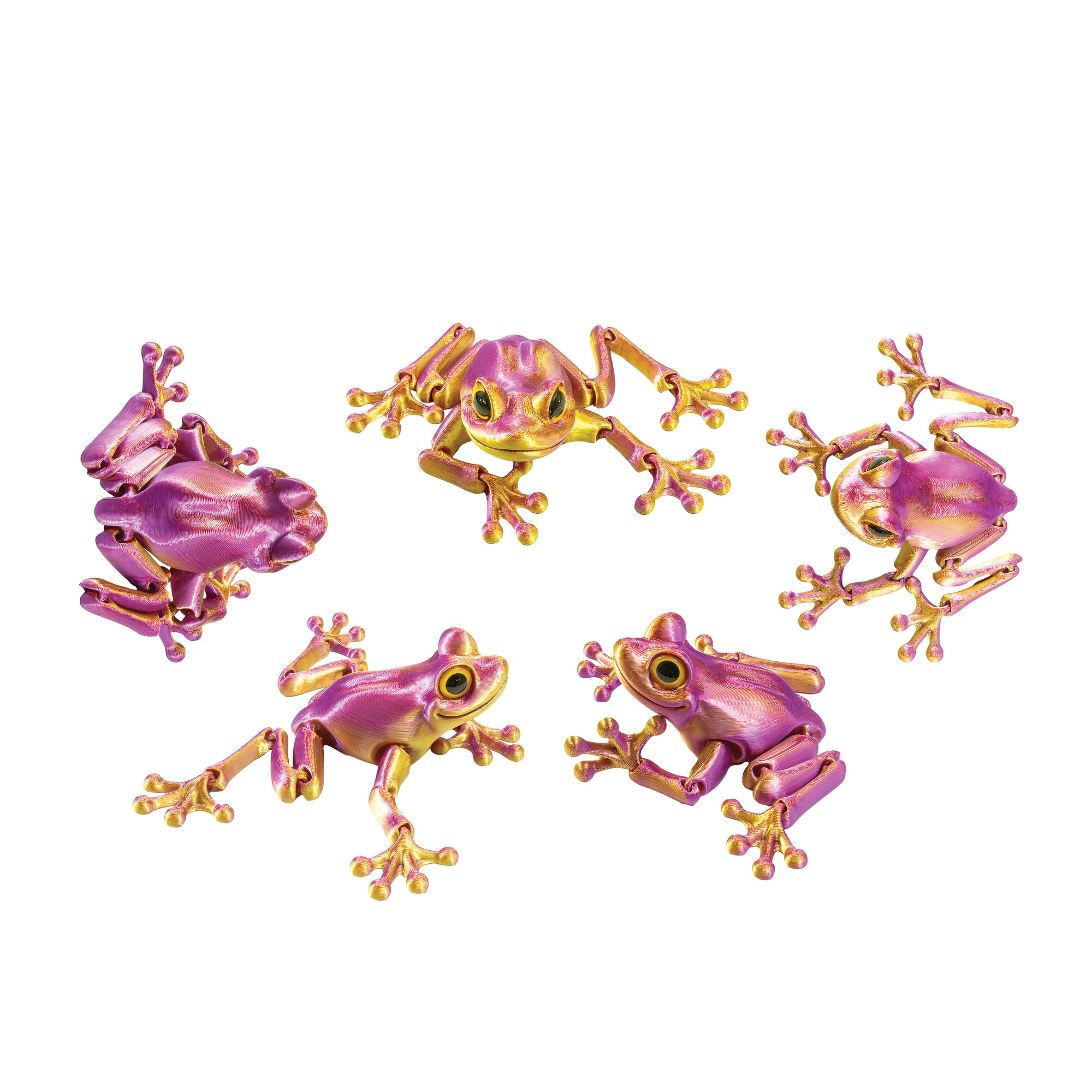 3D Printed Tree Frog Fidget Toys - 12 per box