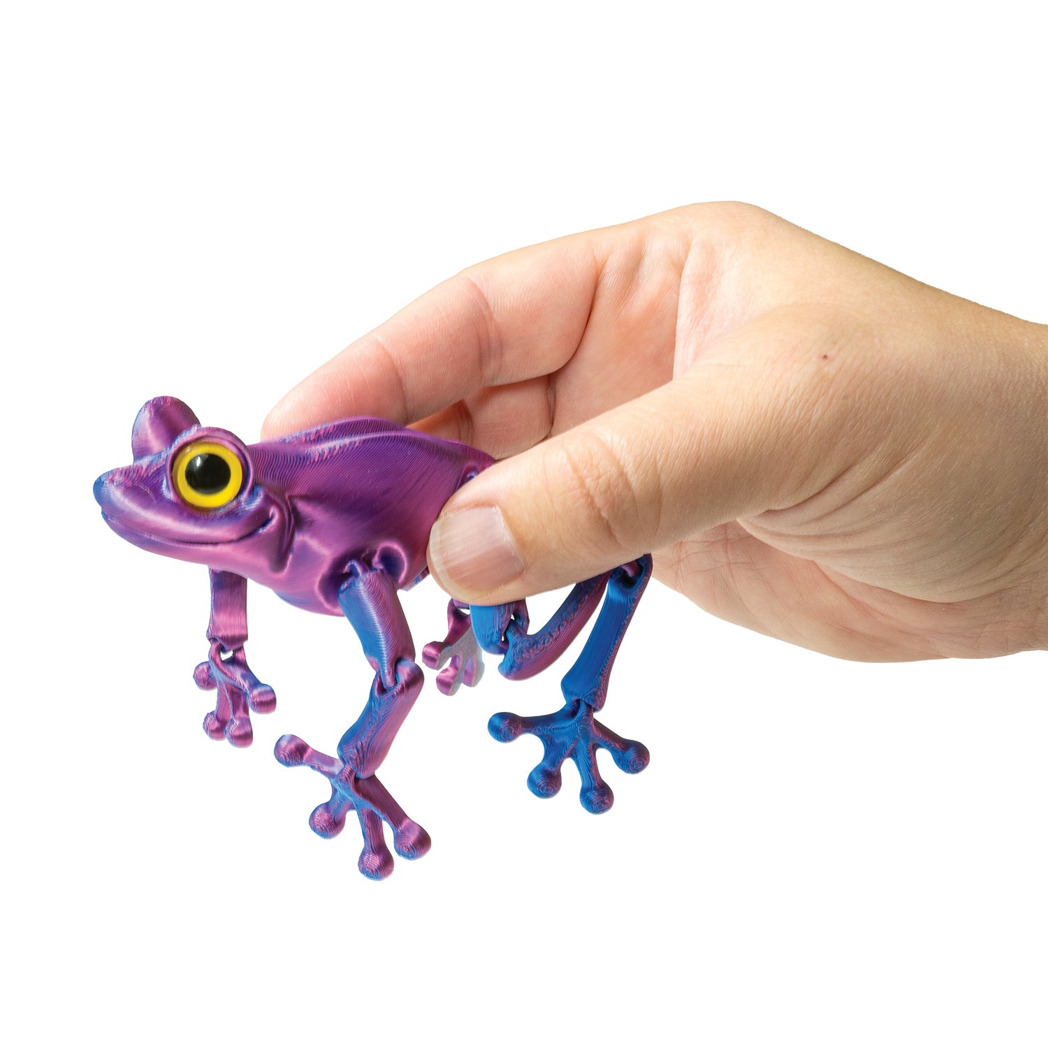 3D Printed Tree Frog Fidget Toys - 12 per box