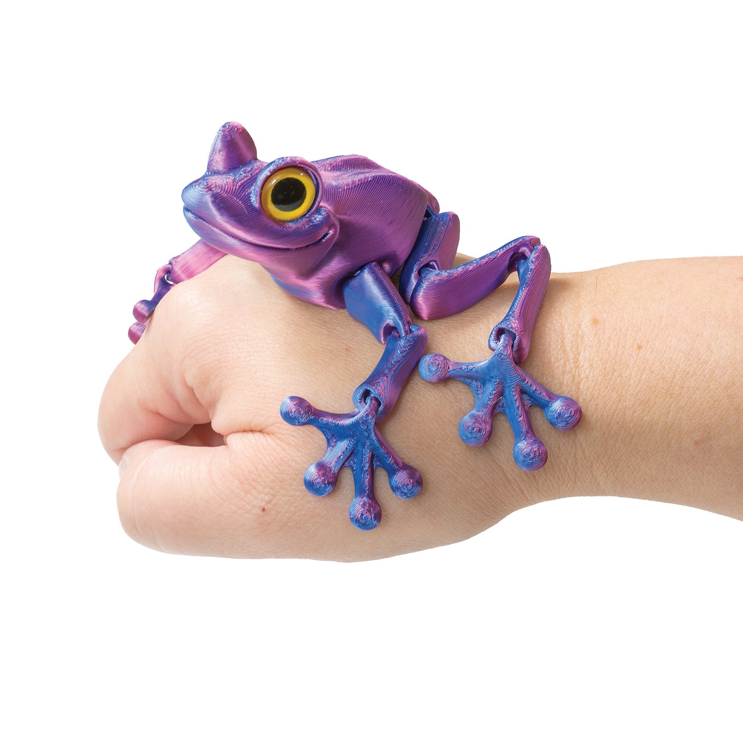 3D Printed Tree Frog Fidget Toys - 12 per box