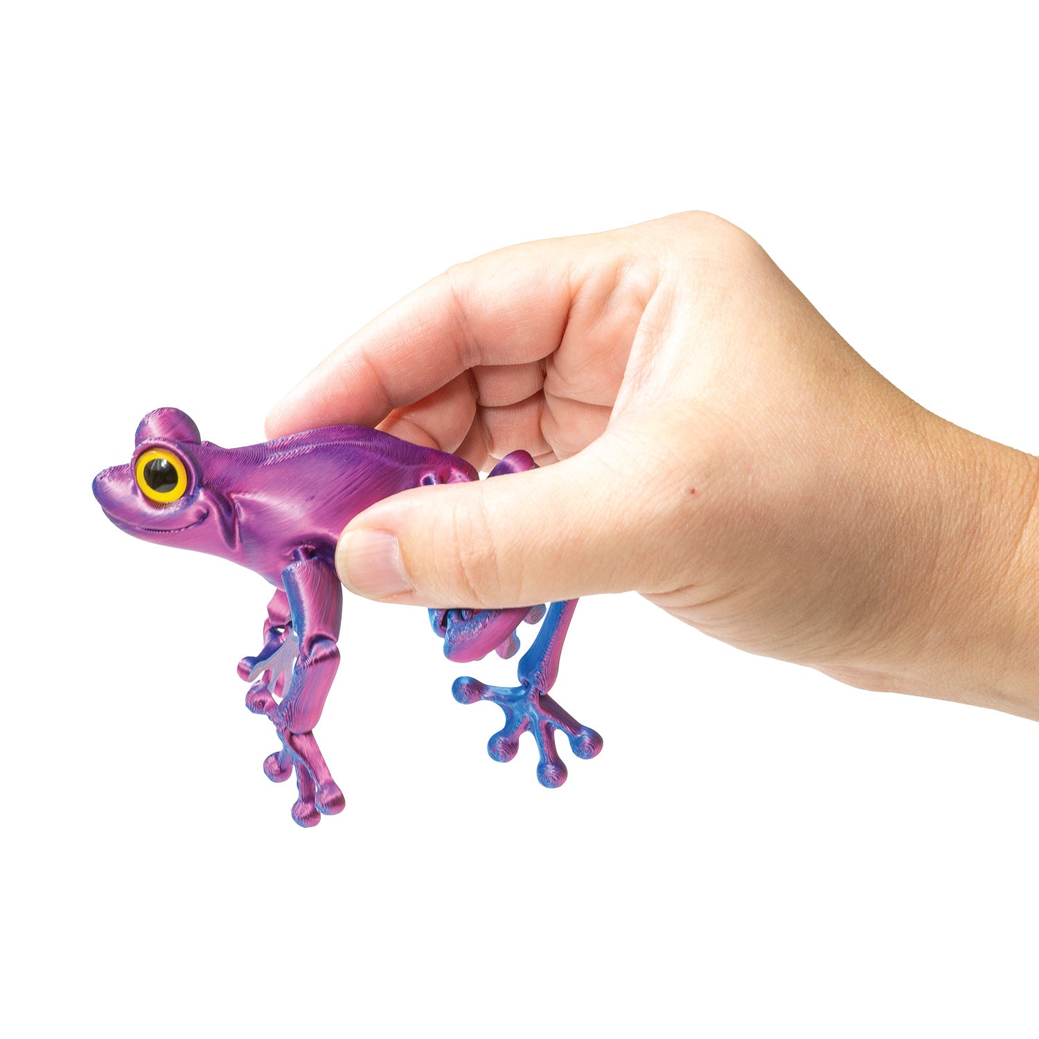 3D Printed Tree Frog Fidget Toys - 12 per box