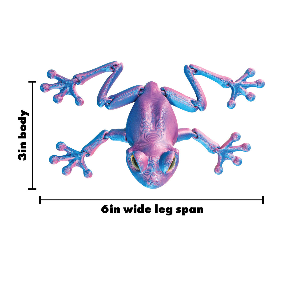 3D Printed Tree Frog Fidget Toys - 12 per box