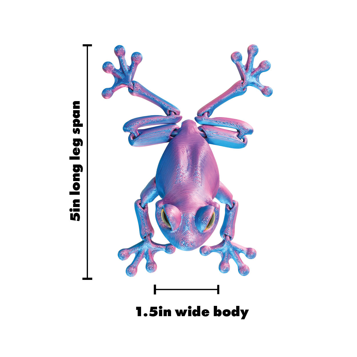 3D Printed Tree Frog Fidget Toys - 12 per box