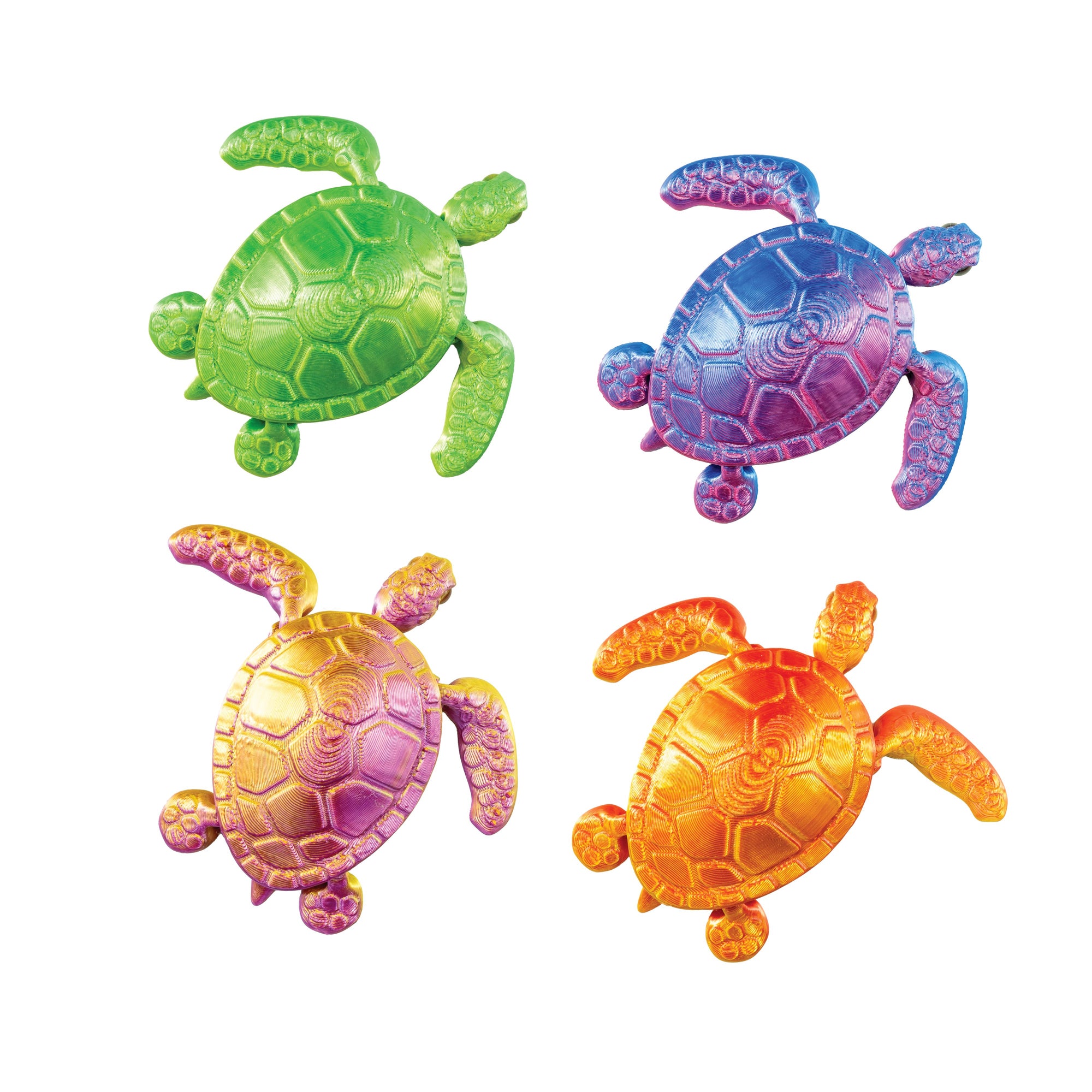 3D Printed Sea Turtle Fidget Toys - 12 per box