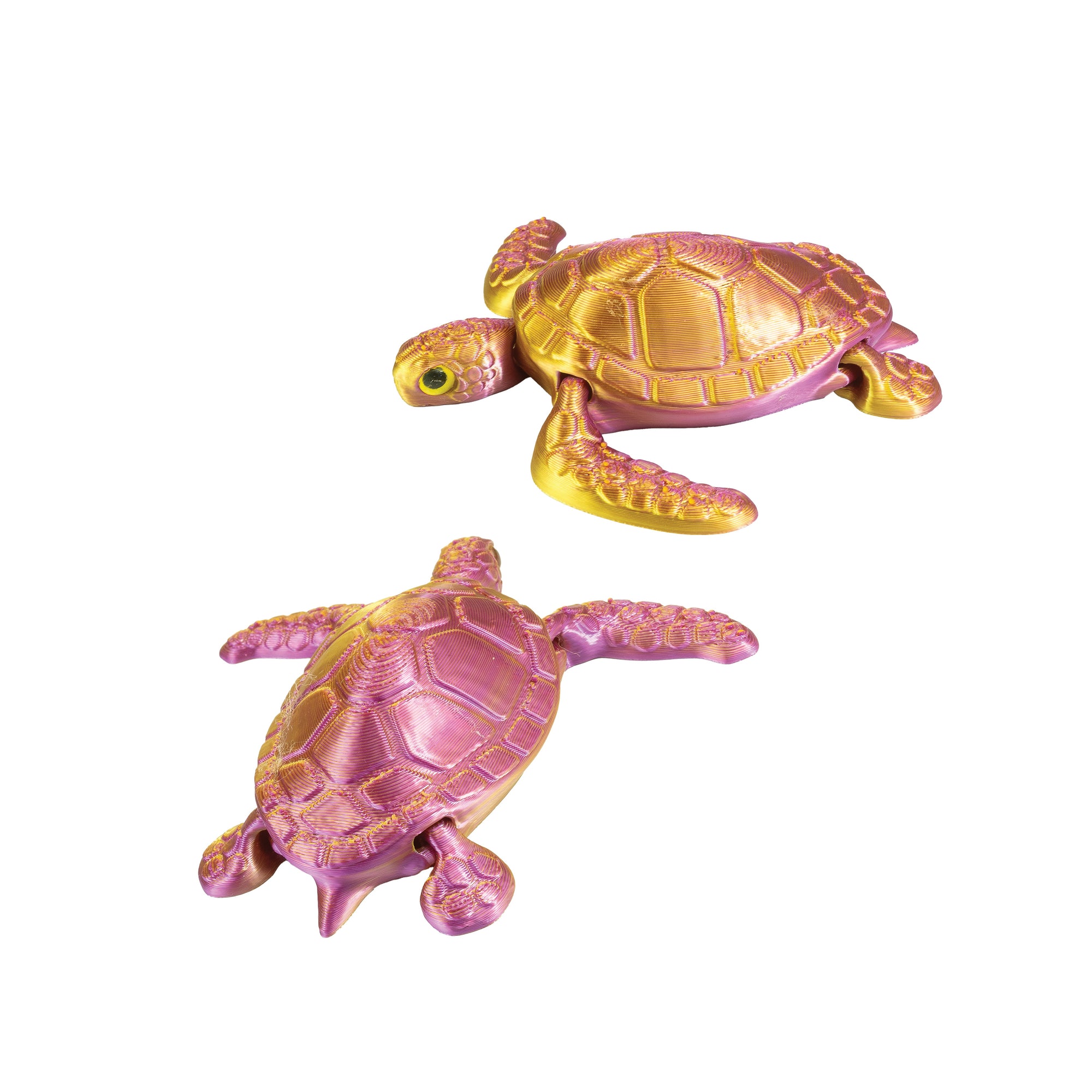 3D Printed Sea Turtle Fidget Toys - 12 per box