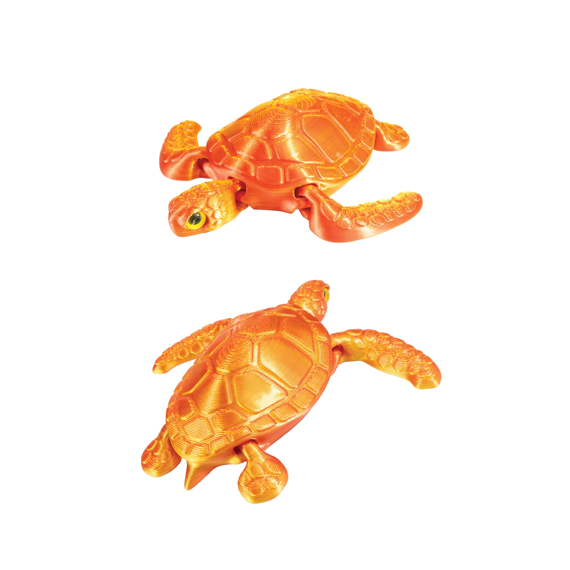 3D Printed Sea Turtle Fidget Toys - 12 per box