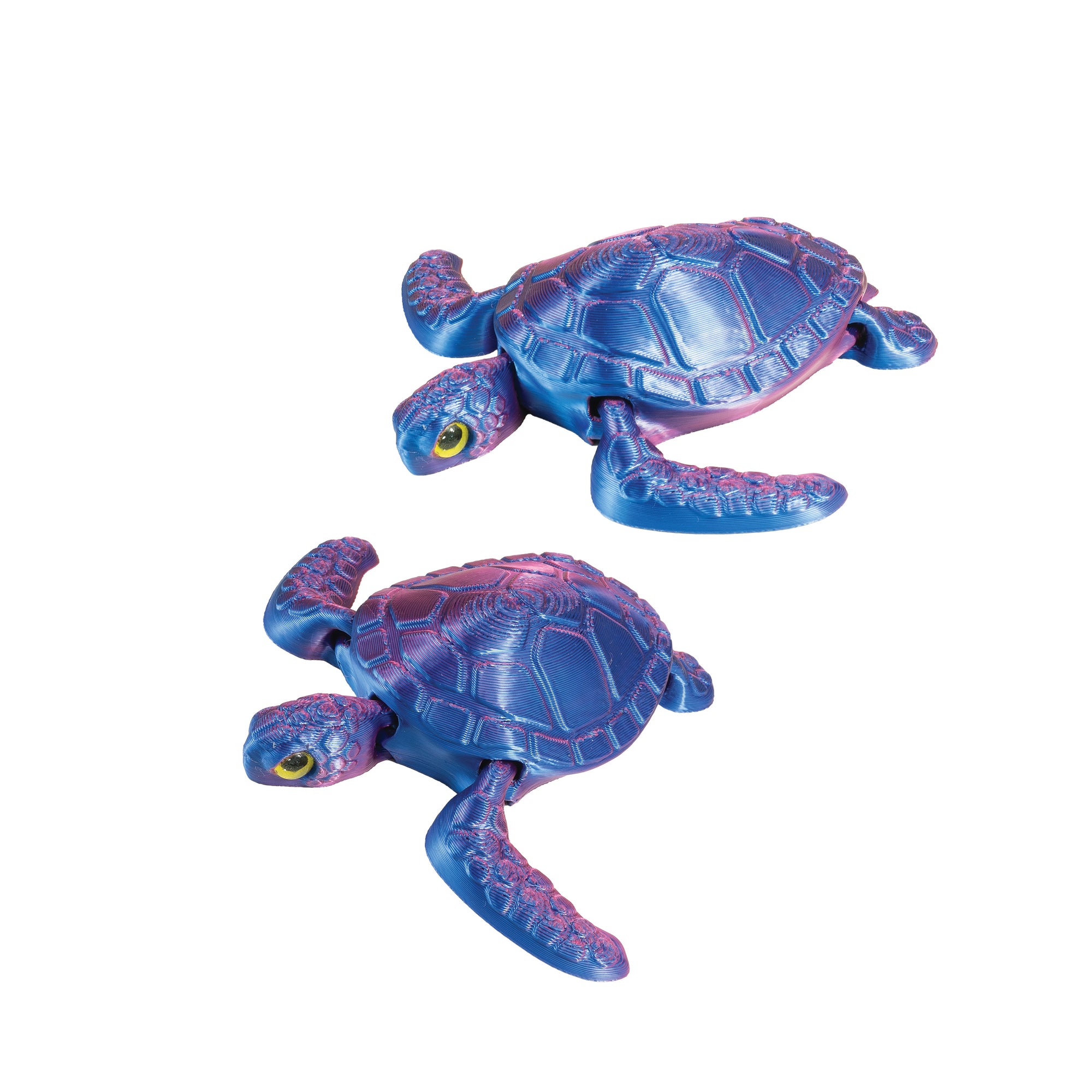 3D Printed Sea Turtle Fidget Toys - 12 per box