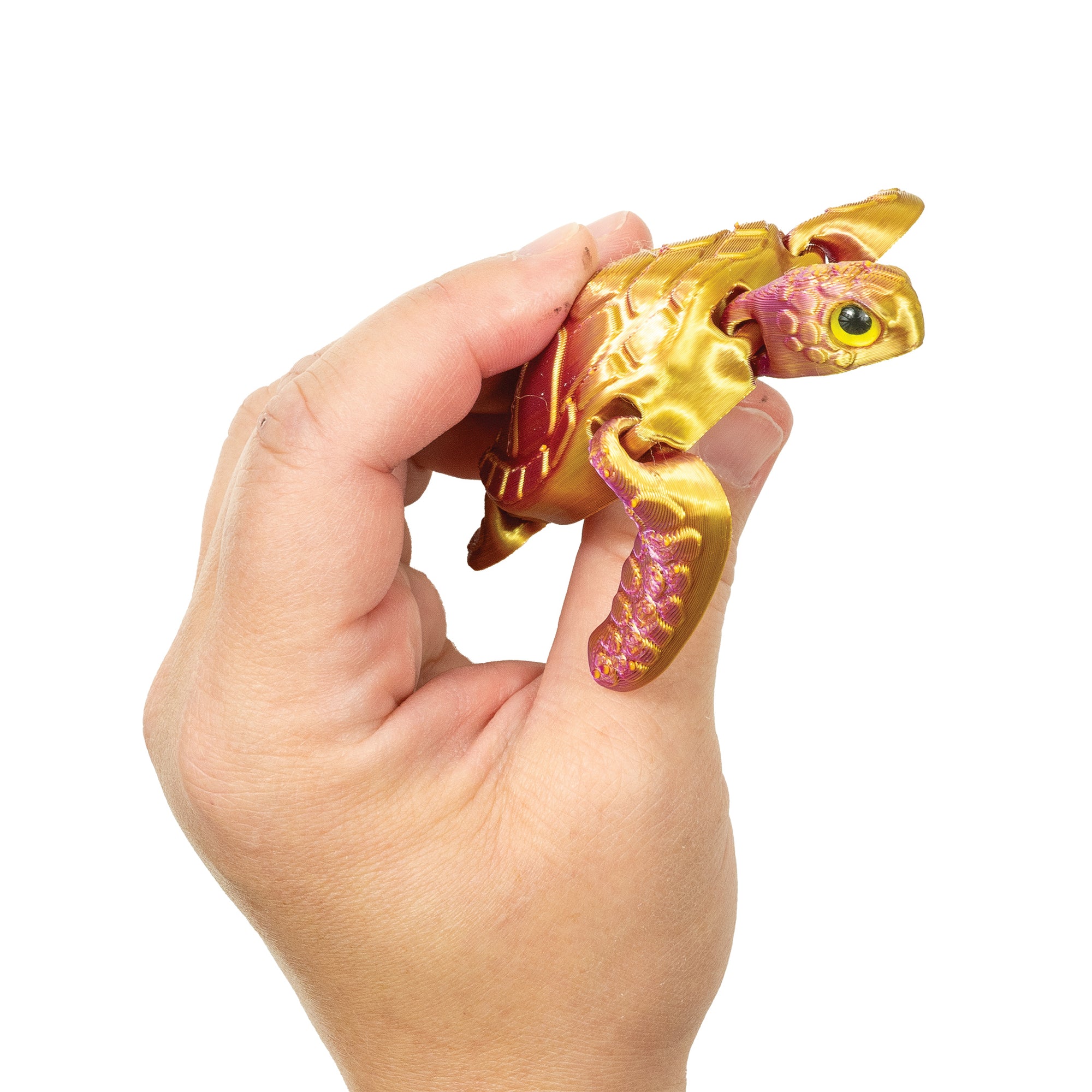 3D Printed Sea Turtle Fidget Toys - 12 per box