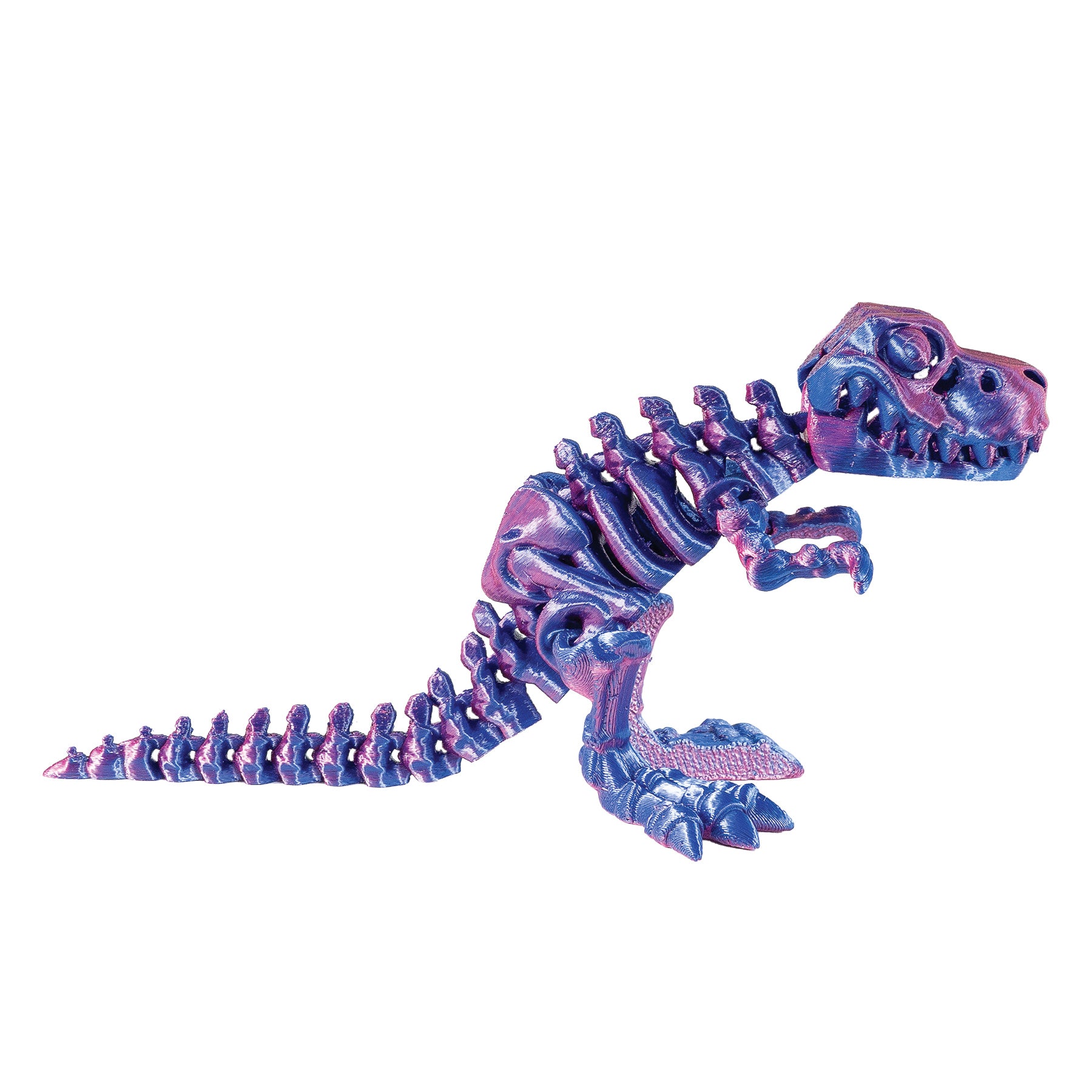 3D Printed Dinosaur Fidget Toys - 12 per box