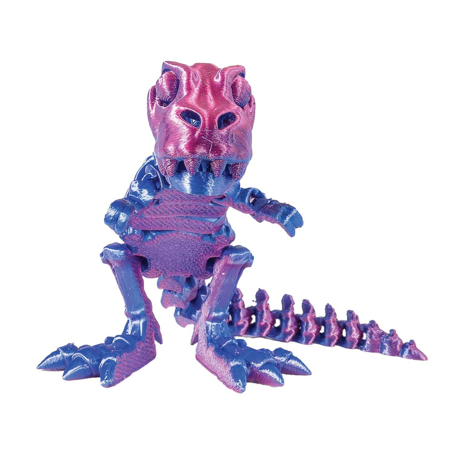 3D Printed Dinosaur Fidget Toys - 12 per box