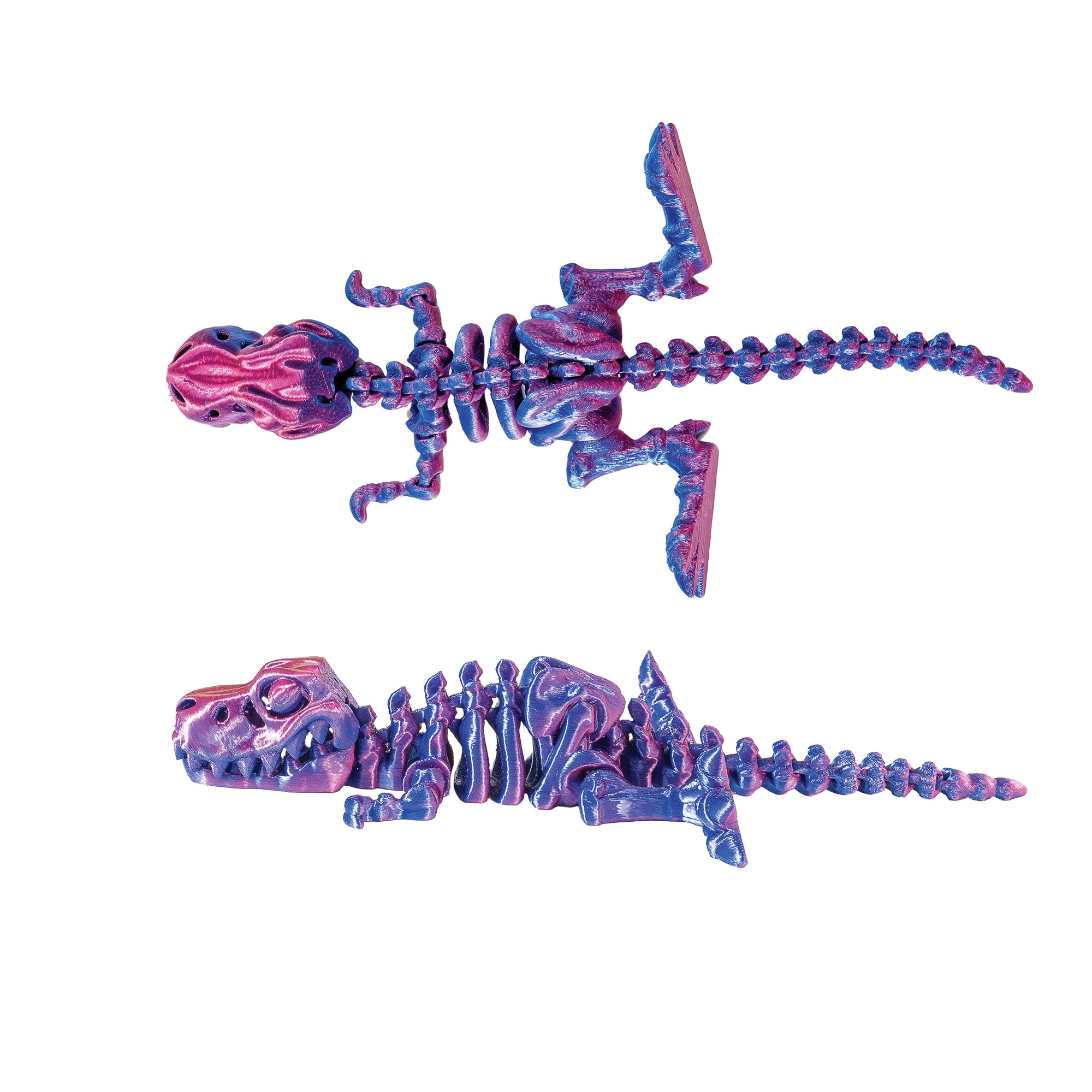 3D Printed Dinosaur Fidget Toys - 12 per box