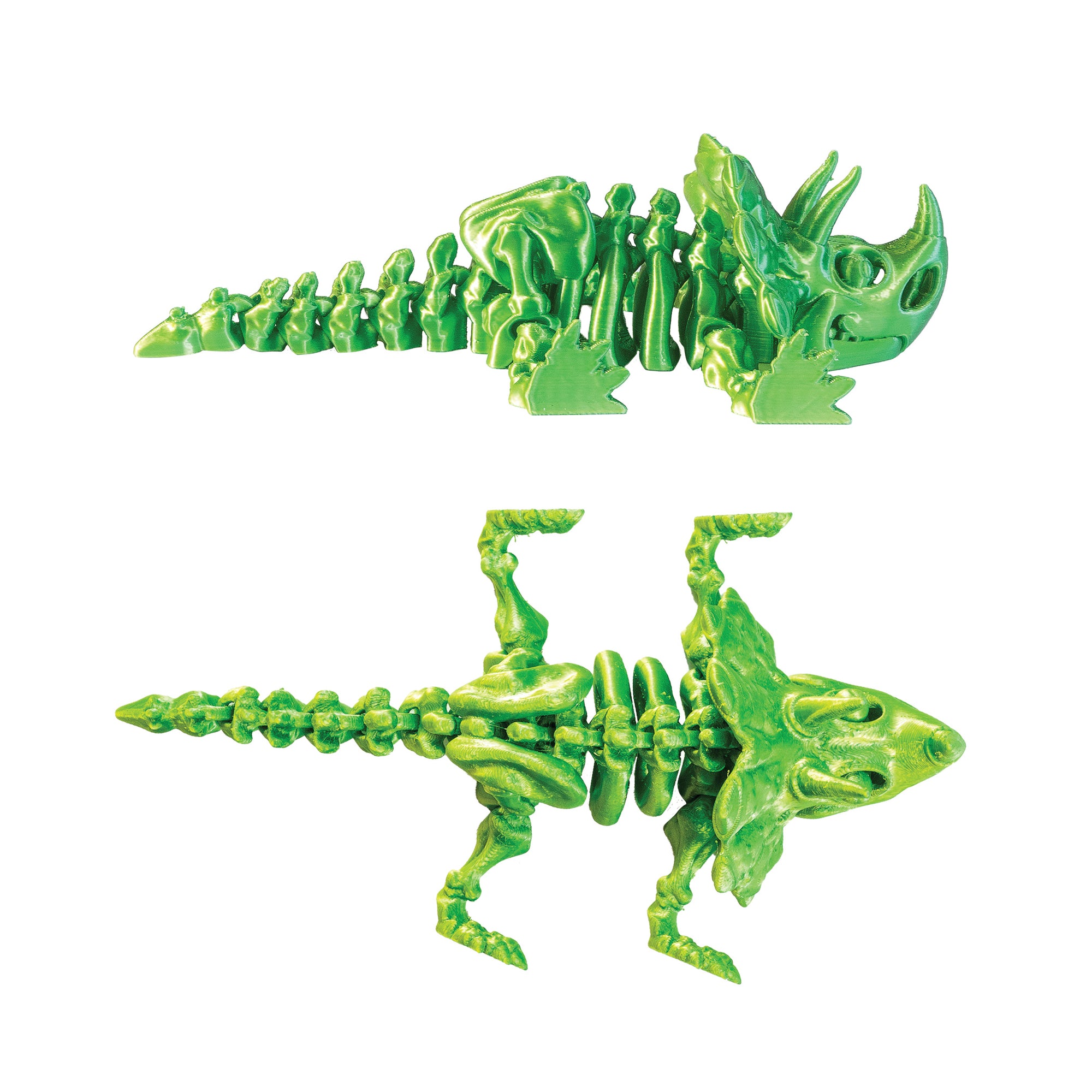 3D Printed Dinosaur Fidget Toys - 12 per box