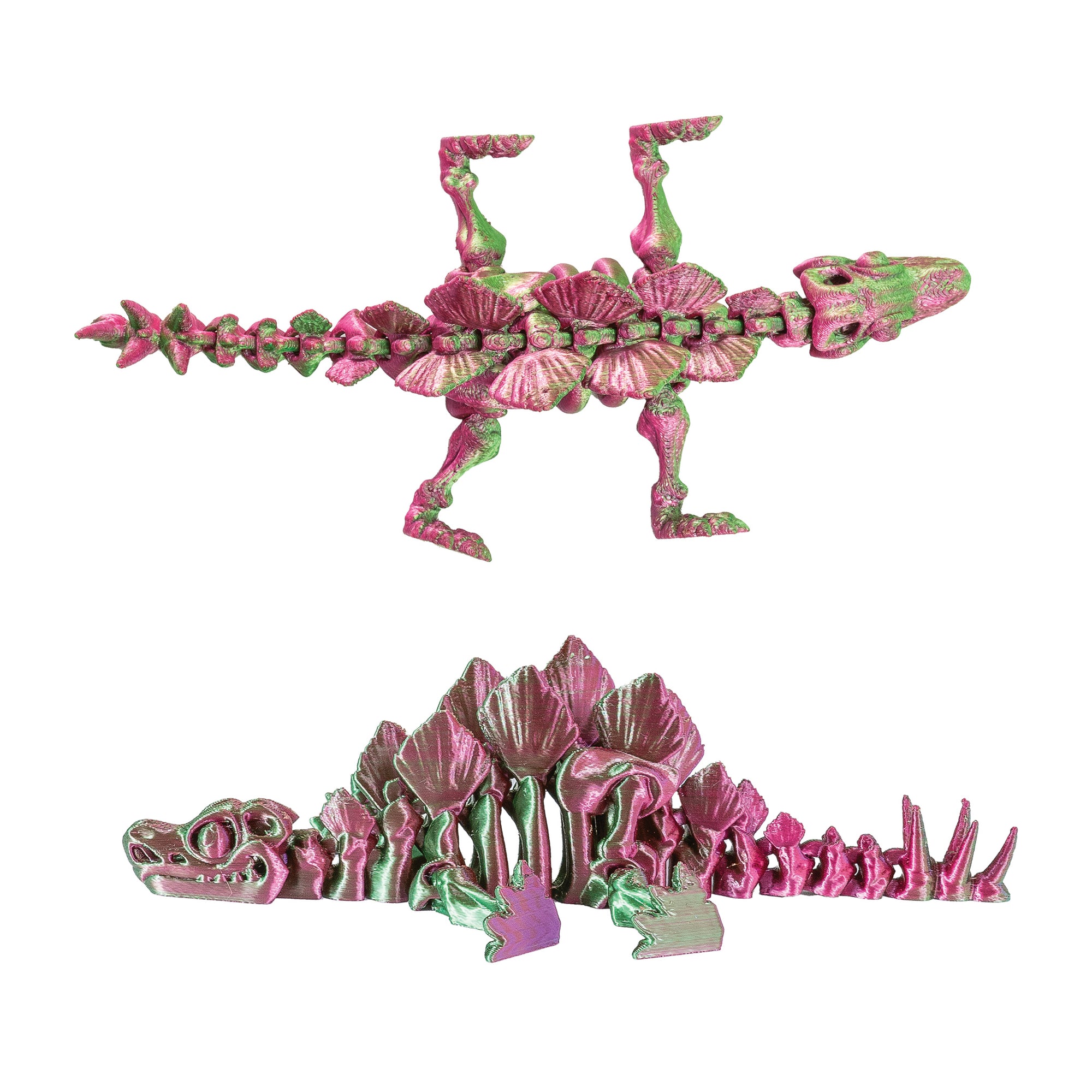 3D Printed Dinosaur Fidget Toys - 12 per box