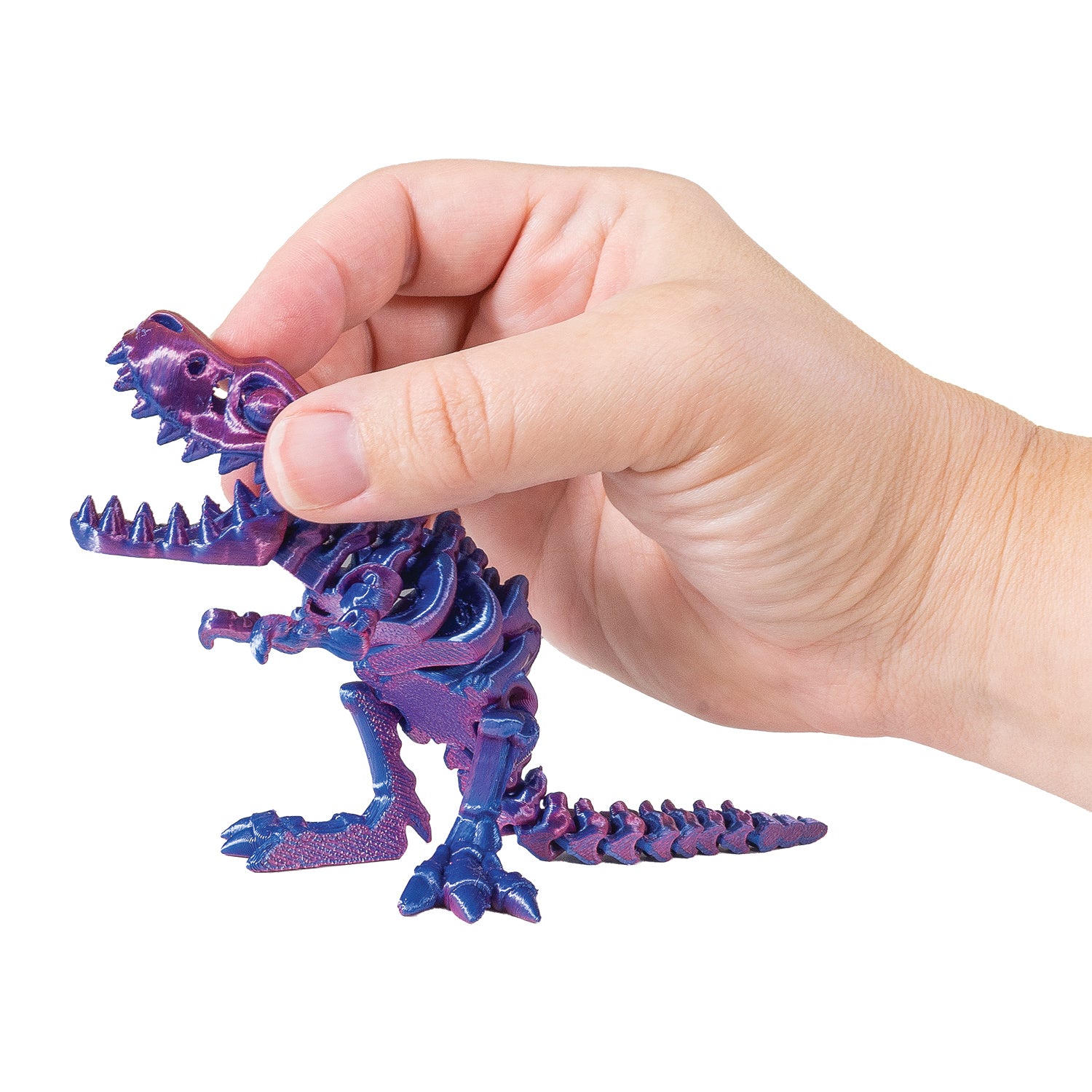 3D Printed Dinosaur Fidget Toys - 12 per box