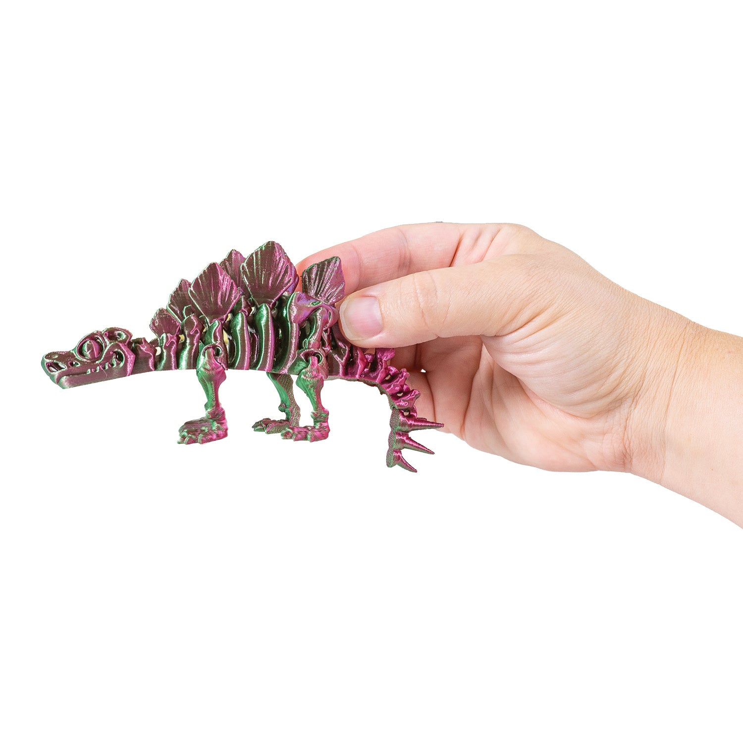 3D Printed Dinosaur Fidget Toys - 12 per box