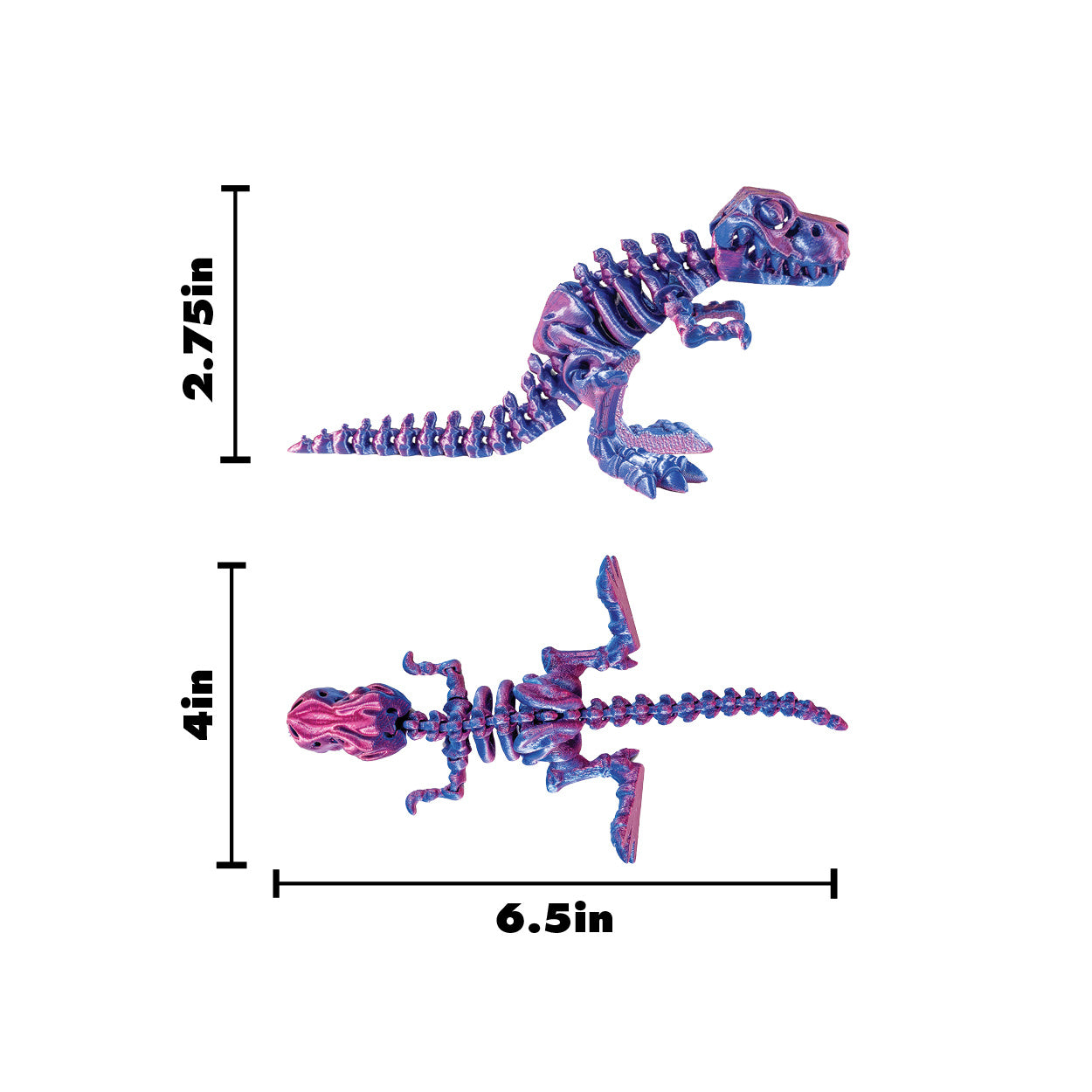 3D Printed Dinosaur Fidget Toys - 12 per box