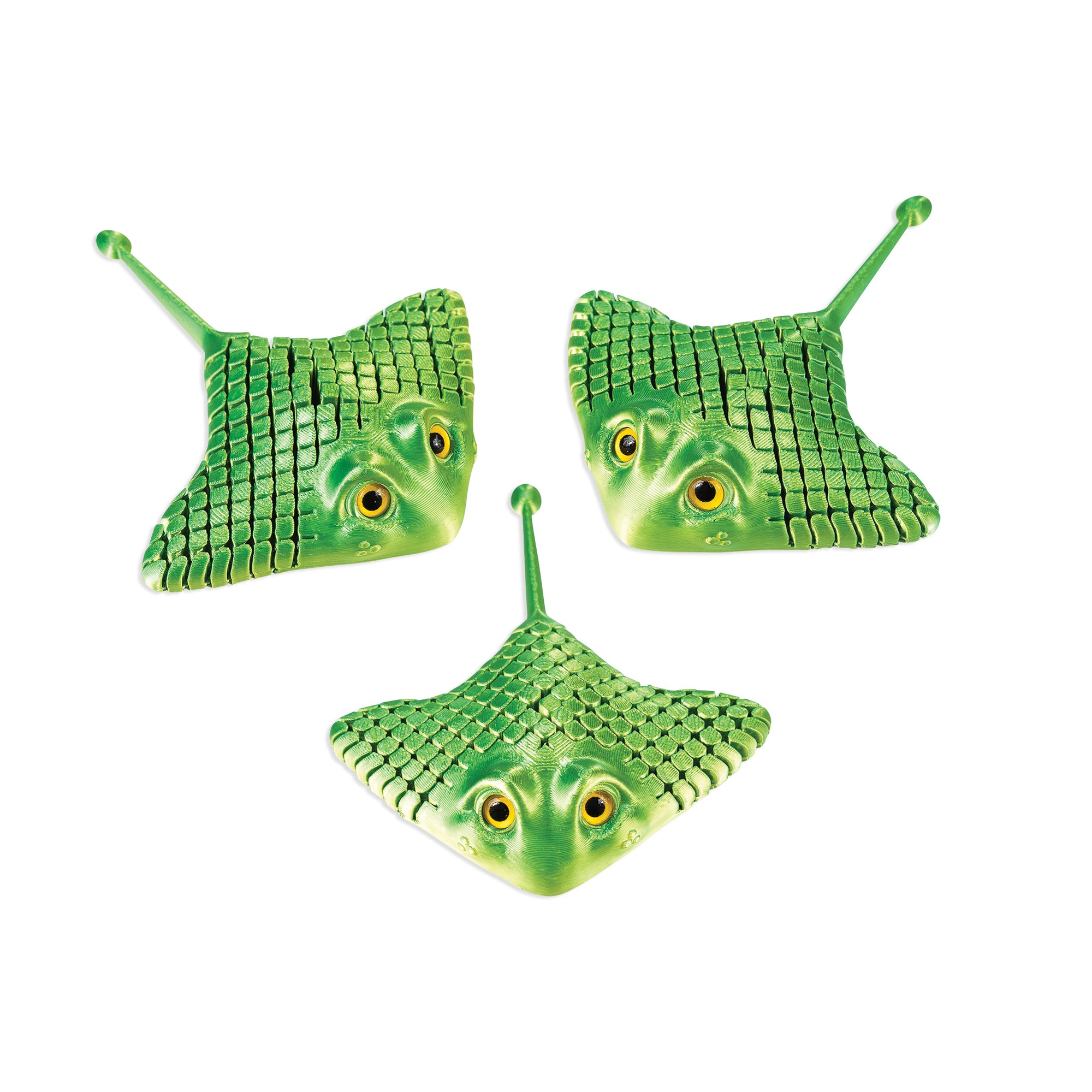 3D Printed Manta Ray - 12 per box