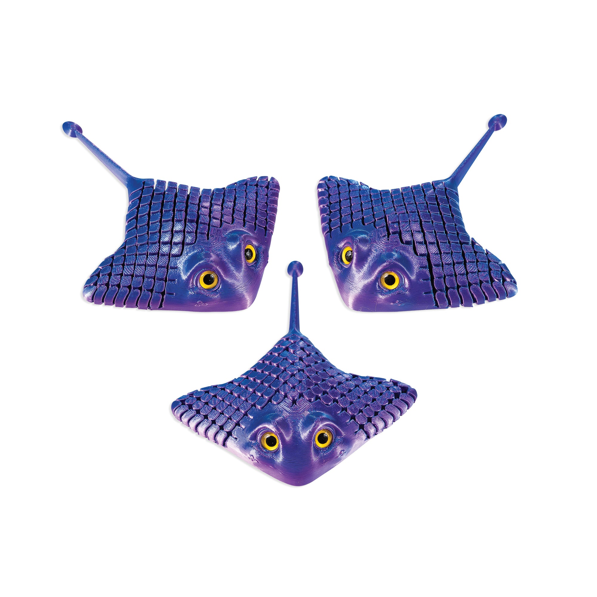 3D Printed Manta Ray - 12 per box