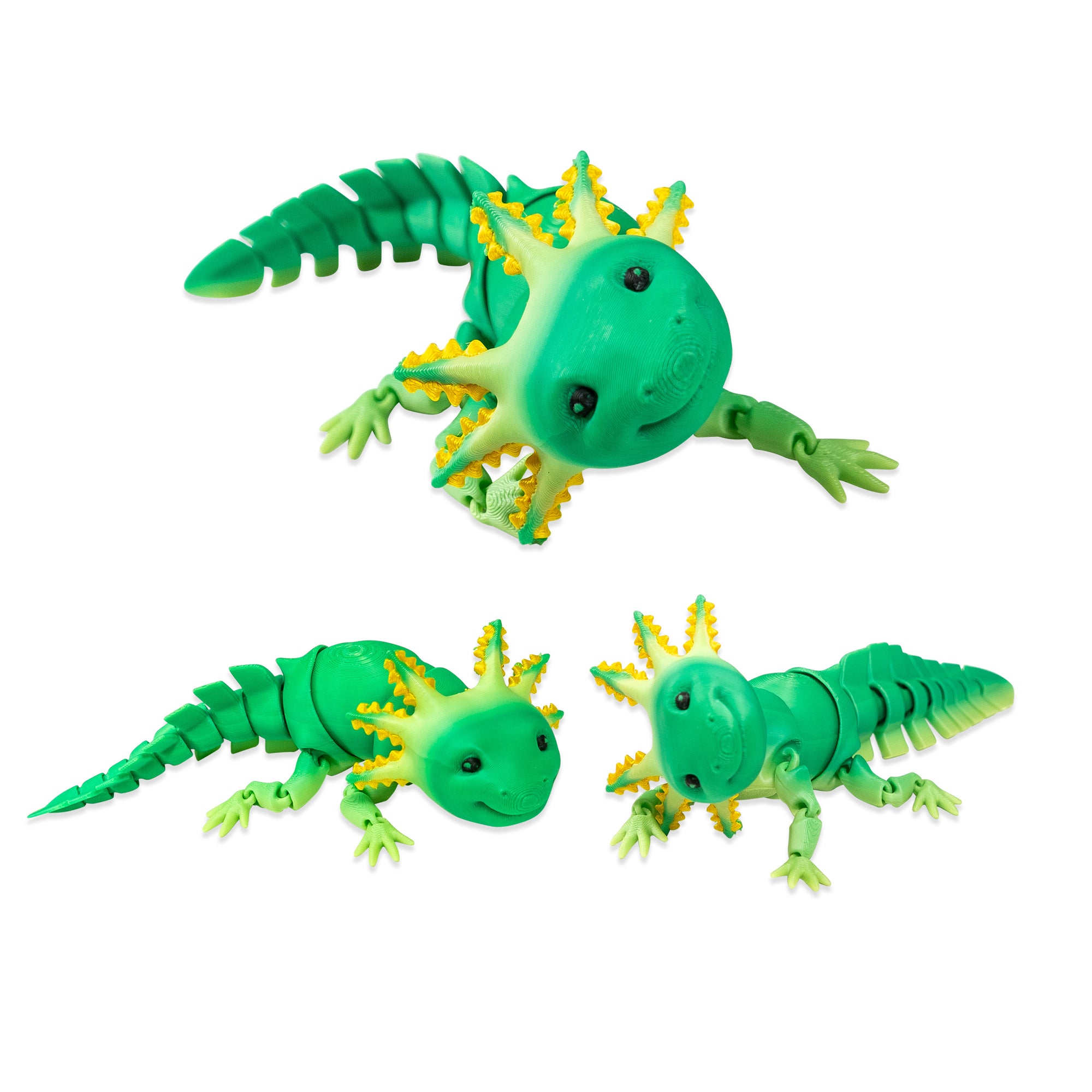 3D Printed Giant Axolotl - 12 per box