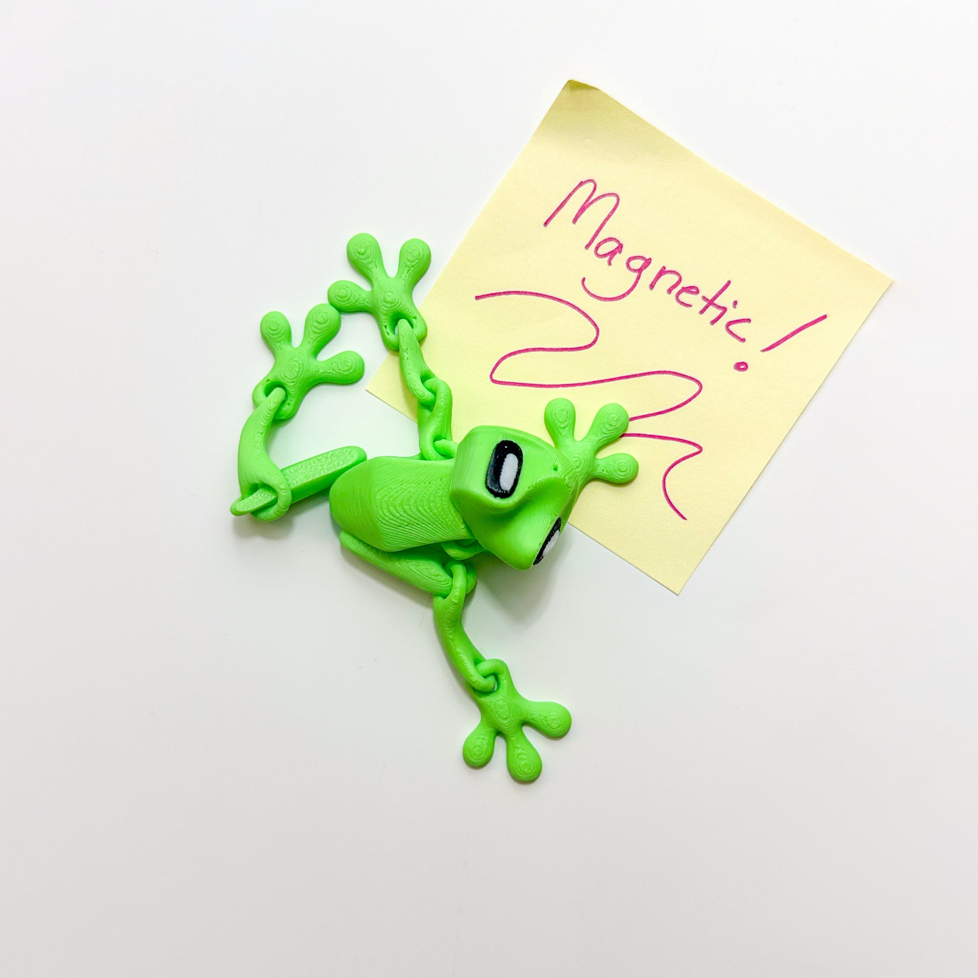 Neon green 3D Printed Magnetic Frog Locker Buddy posed beside a handwritten “Magnetic!” note on a white magnetic surface.